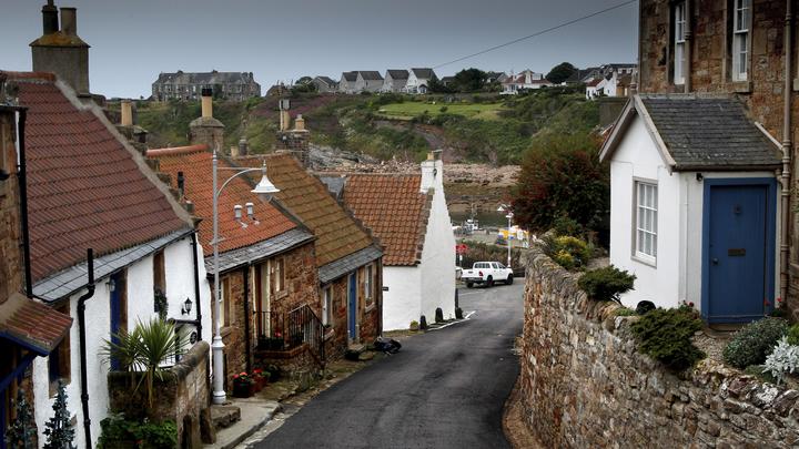 Неожиданность из британской глубинки. Классические Булли зашикали русскую: Делай как Путин