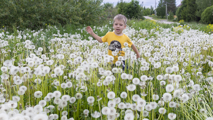 Народные приметы на 1 июня 2024: что можно и нельзя делать в день Ивана Долгого