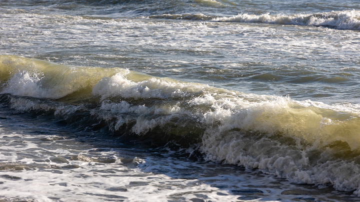 Мечтала вернуться в Петербург: Как отдых в Сочи превратился для туристки в мучение
