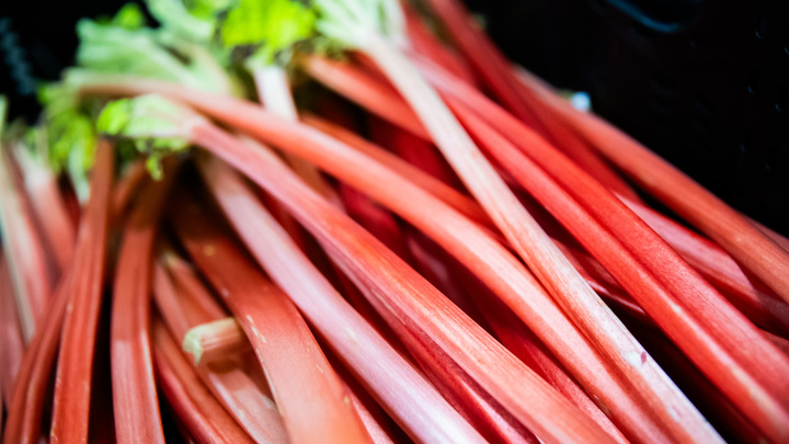 Учёные нашли овощ, который умертвляет почки: В России его обожают