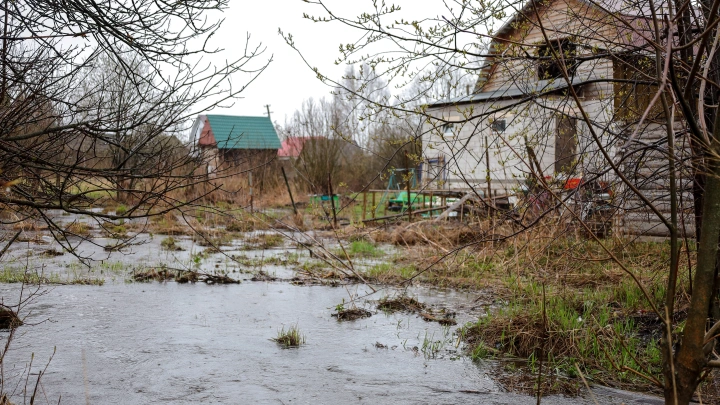 Тюменская область стремительно уходит под воду