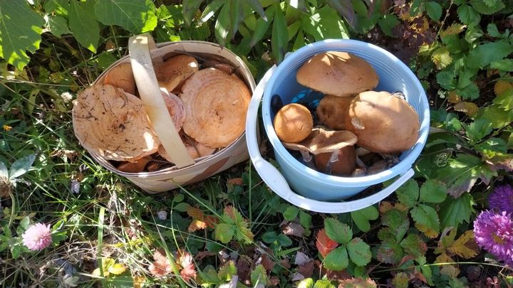 В Екатеринбурге 24 сентября стало самым жарким в истории метеонаблюдений