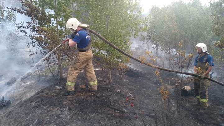В Тольятти введен режим ЧС из-за крупного лесного пожара: видео с места события