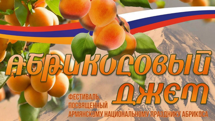 9 июля во Владимире впервые пройдёт фестиваль армянской культуры «Абрикосовый джем»