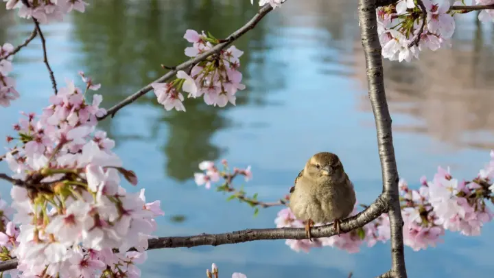 Праздники 2026: появился календарь майских выходных в 2026 году