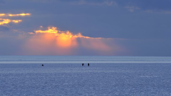 В Новосибирске на пляже «У моря Обского» нашли тело утонувшего мужчины