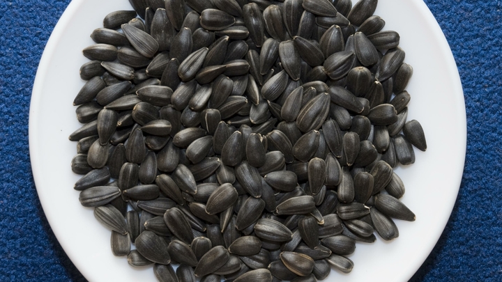 Национальный русский суперфуд: Простой и дешёвый продукт добавит здоровья