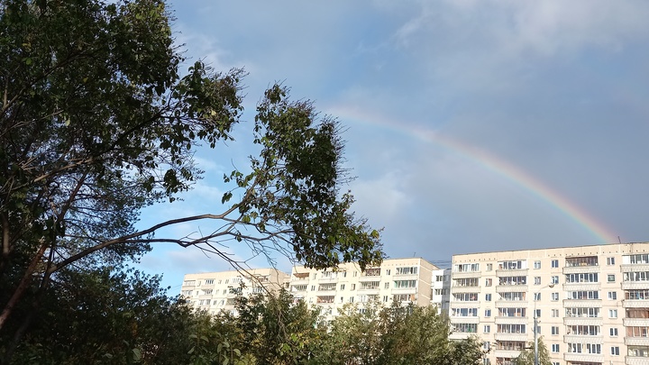 Синоптики рассказали, каким будет август в Свердловской области