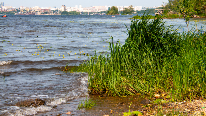 Вода в Волге стала теплее воздуха в Волгограде