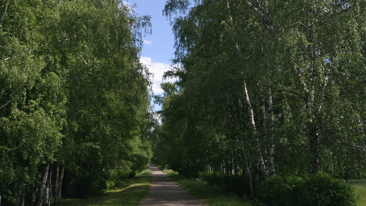 В русской песне есть все ответы о Херсоне. Каков план Суровикина