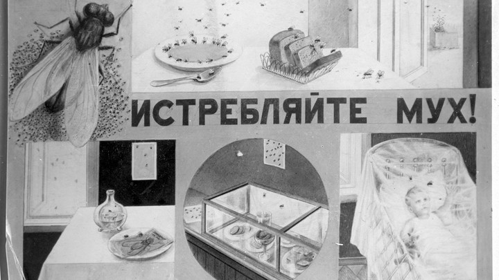 Они нападут на вас в лесу: биолог показал кровожадного врага в лицо