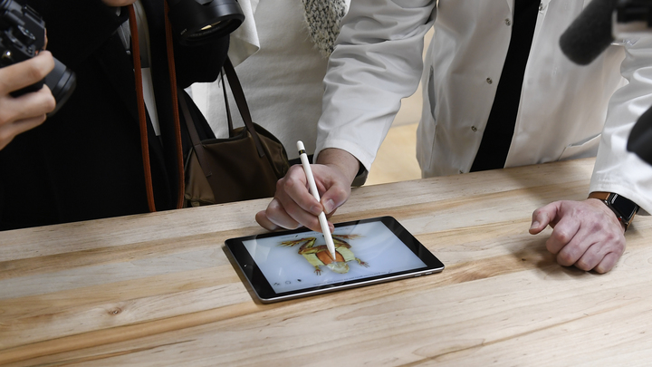 Представлен новый Apple Pencil c портом USB-C