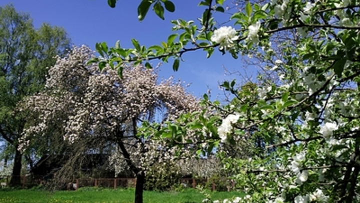 В основном тепло, но: Жителям России рассказали о погоде в мае