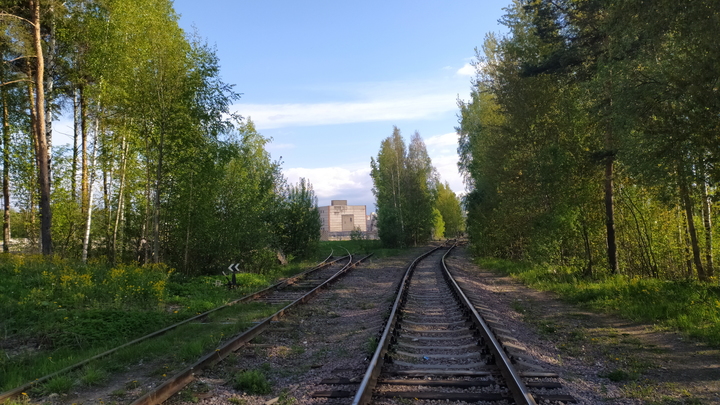 В Сочи подростки камнями разбили стекло вагона электропоезда, соревнуясь в меткости