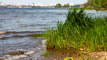 Температура воды в Волге показывает значения выше средних - сколько это в градусах