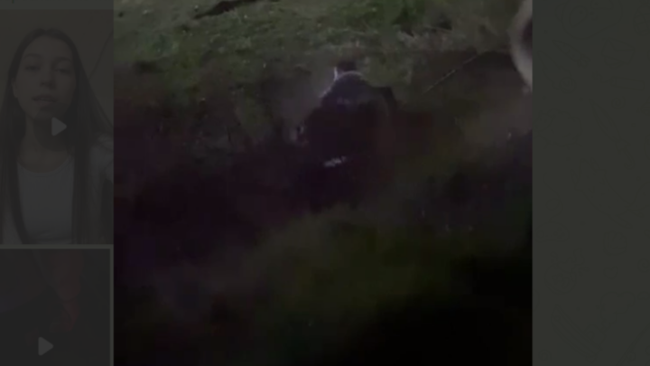 В Башкирии жестоко избили подростков. Неизвестные угрожают их семье и даже чиновникам