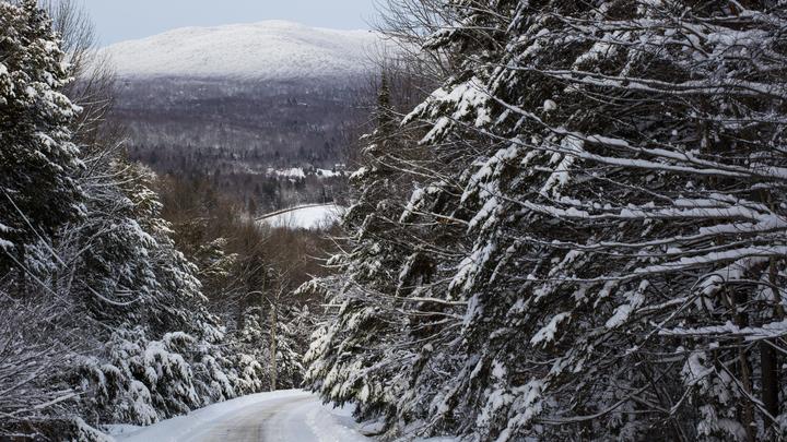 Два дня в могиле: Дочь миллионера пела в гробу, пытаясь сохранить разум