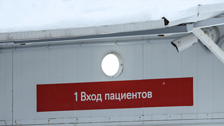 В Тыве сбежавшим больным сибирской язвой посоветовали вернуться в больницу