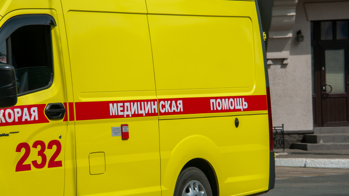Петербурженке потребовалась операция после заплыва на Крестовском острове