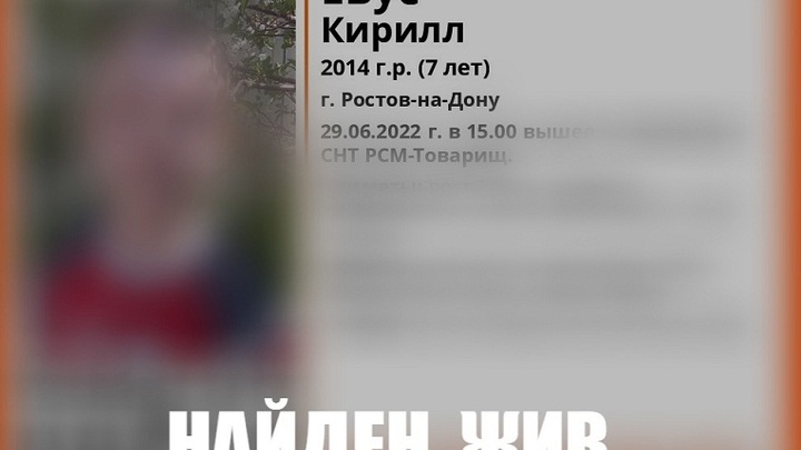Пропавший в Ростове-на-Дону семилетний мальчик нашелся за несколько километров от дома