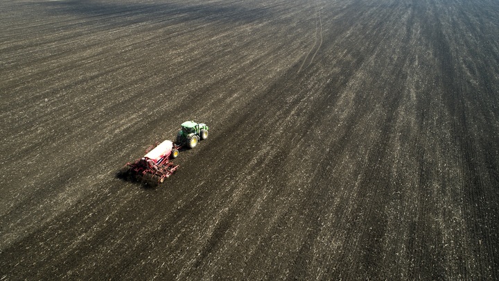Учёные Коми разработали метод повышения эффективности навоза