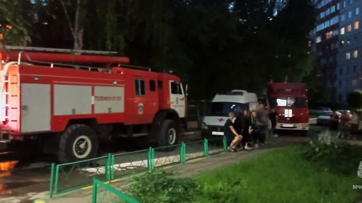В Новосибирске пожарные спасли собаку из горящей квартиры на улице Герцена