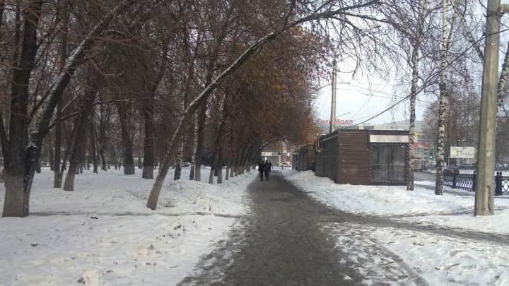 Теплые первые дни марта сменятся морозами и метелью