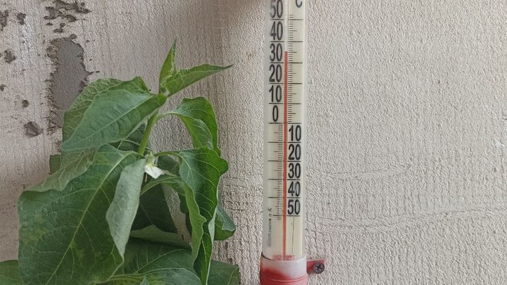 Погода в Ростове-на-Дону 13 июня 2022: прогноз синоптиков