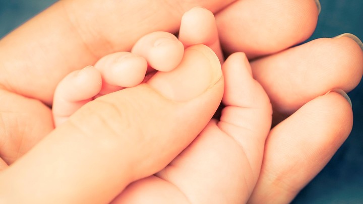 Русский? Без проблем! Малышка-бабочка Луна за год освоилась в Краснодаре