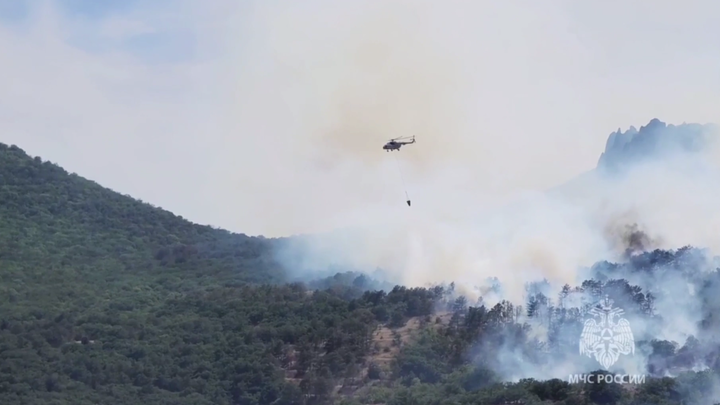 К тушению пожара в Коктебеле привлекли 50 бойцов Росгвардии