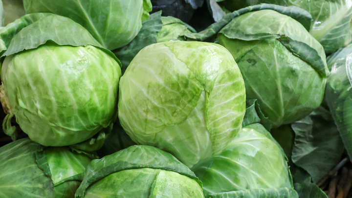 О правилах заготовки и хранения капусты рассказал новосибирский агроном