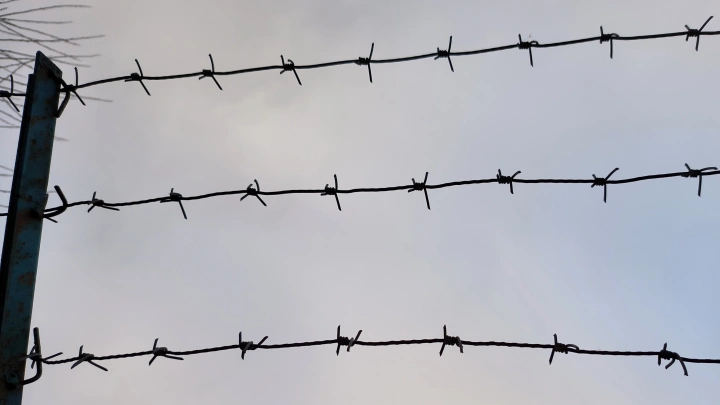 В колонии Белый медведь заключённый в знак протеста зашил себе рот