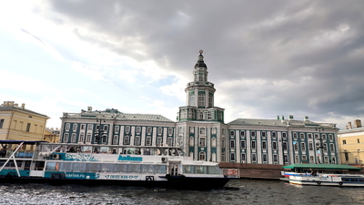 Последствия шторма в Петербурге 8 октября: дерево упало на детский сад, ветер ронял остановки