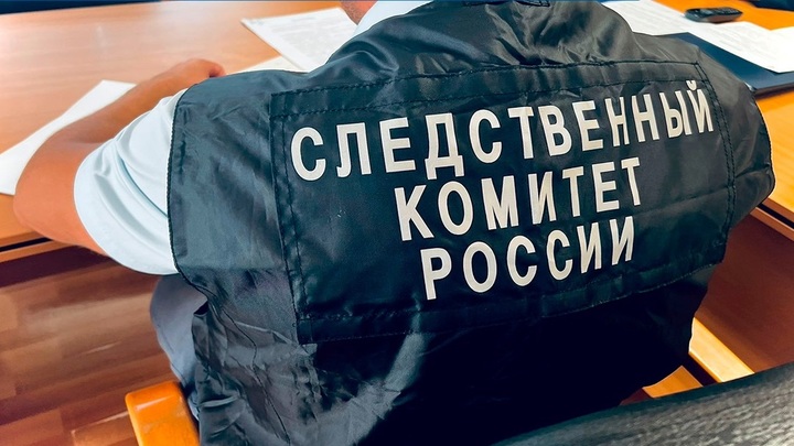 В Кузбассе задержан подозреваемый в снятии скальпа у девушки в Междуреченске