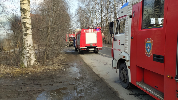 В одной из деревень Прикамья на пожаре погиб мужчина