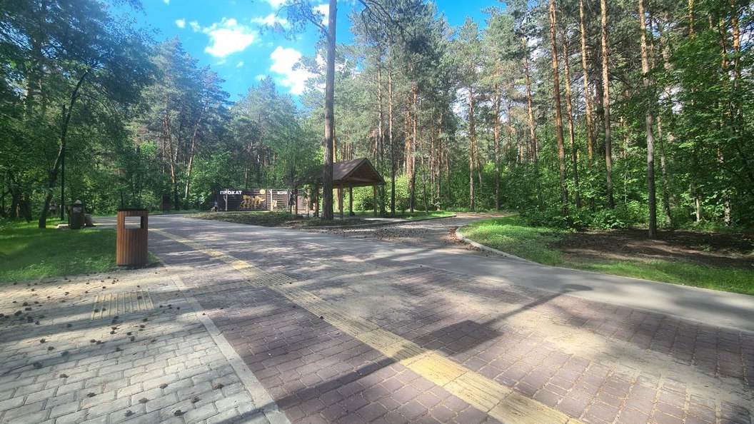 Заельцовский парк новосибирск фото