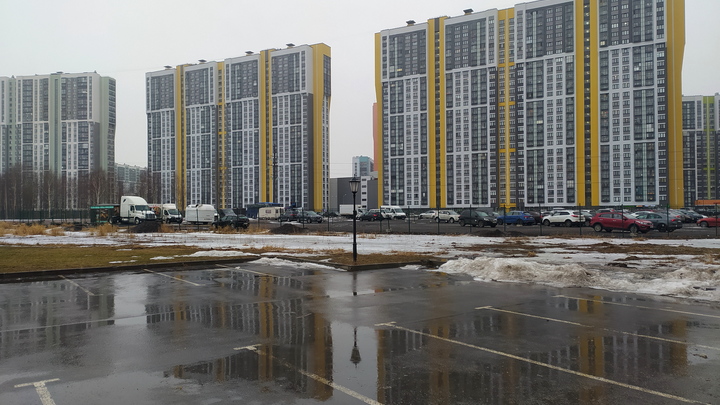 В Новосибирской области с 10 апреля начнут обновлять дорожную разметку