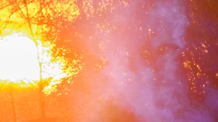 Пожар разрастается: В горящем НИИ Платан люди из выбитых окон просят о помощи