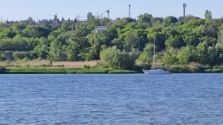 Новости Ростова-на-Дону 16 июля 2022: подростки разбились на автомобиле каршеринга
