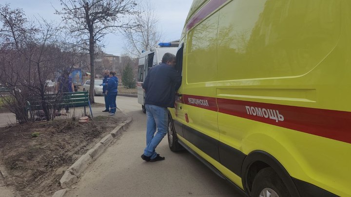 Больше 3800 человек пострадали от укусов клещей в Кузбассе