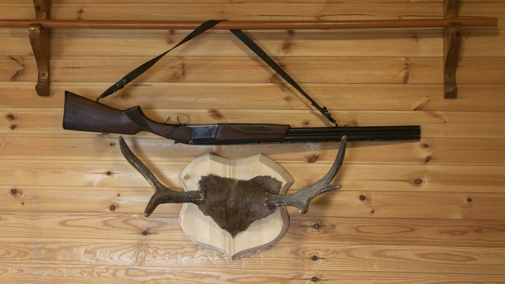 В Сочи мужчина расстрелял стадо коз на глазах у ребёнка