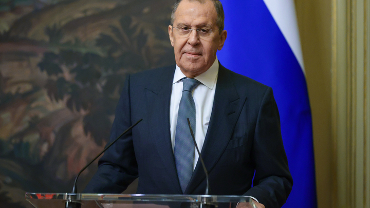 Сергей Лавров одной улыбкой успокоил скандалистку из Грузии