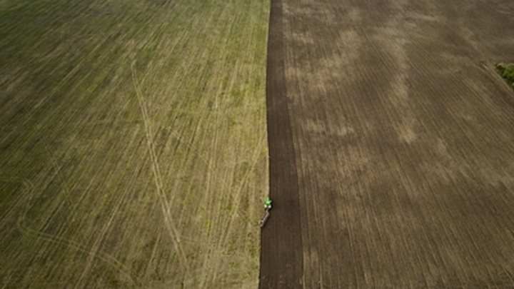 В России появится реестр сельскохозяйственных земель. Сведения в нём будут бесплатными