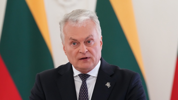 Президент Литвы приехал к Зеленскому: На повестке дня три вопроса