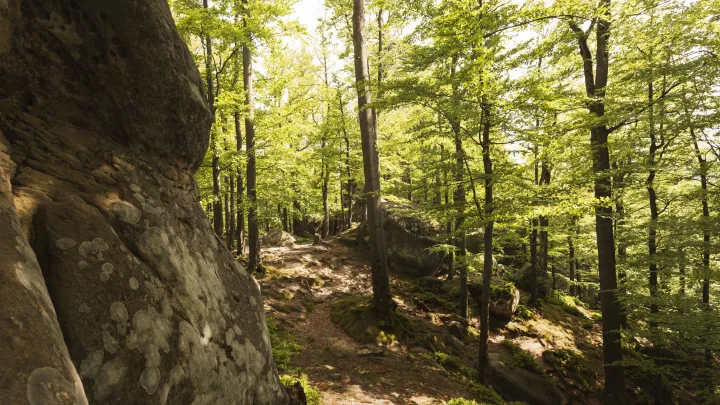 Ловушка для пропавшей семьи: Усольцевы шли к загадочному камню желаний на горе Мальвинка