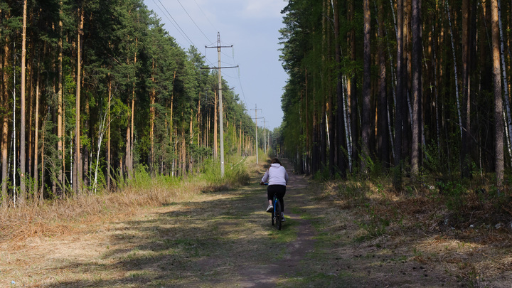 60-летняя велосипедистка попала под колеса автомобиля в Кстовском округе