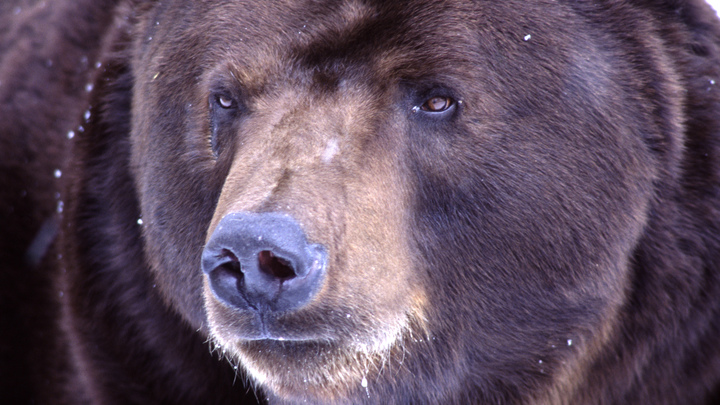 Зрители из США не смогли оторваться от просмотра настоящей русской тренировки