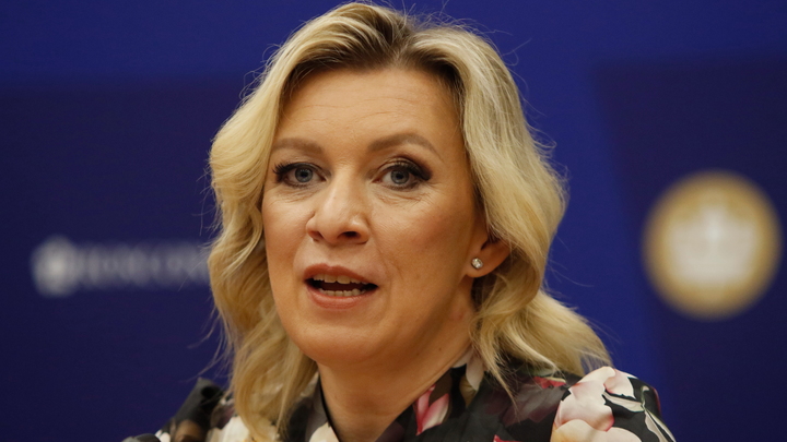 Собаки превыше всего: Захарова простым примером разоблачила патриотизм Кулебы