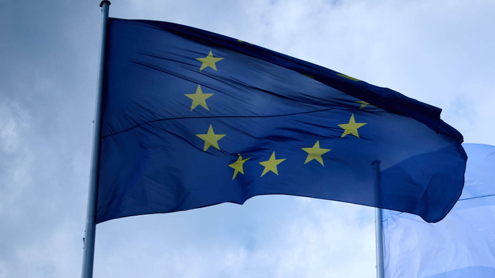 Вы преступники и сядете в тюрьму: Сверчки и черви вышли боком Еврокомиссии