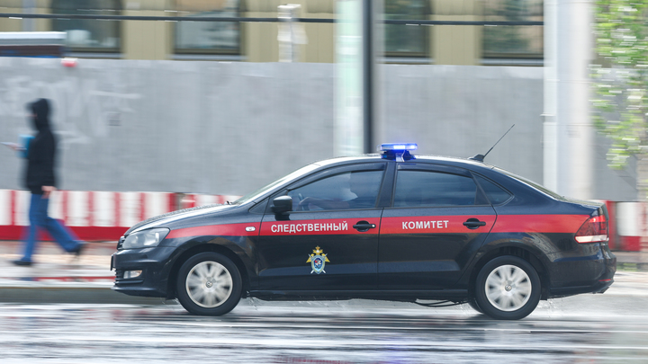 Исчезновение школьницы в Ленобласти: Мать девочки раскрыла подробности пропажи ребёнка